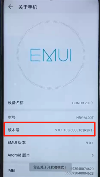 经验分享荣耀20i中进入开发者模式的操作方法。