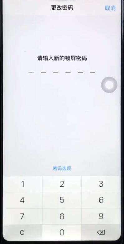 经验分享vivoz1更改锁屏密码的操作教程。