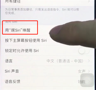 经验分享ios12中打开siri的详细步骤。