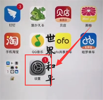 经验分享苹果6plus中开启振动的简单步骤。