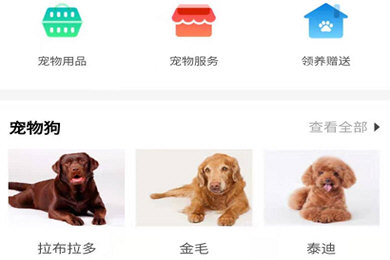 经验分享58同城发布宠物信息的操作方法。