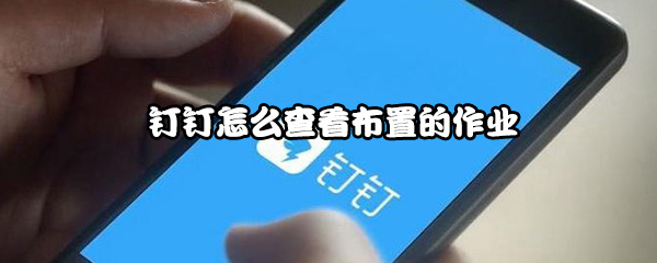 经验分享钉钉如何查看布置的作业。