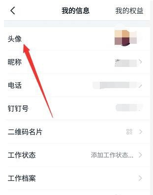 经验分享钉钉头像怎么换回初始。