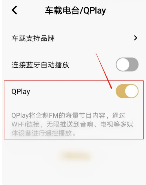 经验分享企鹅FM的QPlay如何启用。