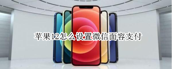经验分享iphone12微信面容支付如何设置。