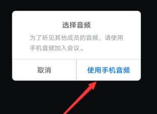 经验分享腾讯会议进入会议没有声音的解决方法。