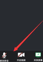 经验分享腾讯会议进入会议没有声音的解决方法。