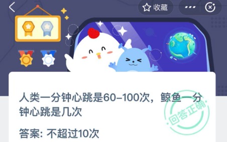 经验分享鲸鱼一分钟心跳是几次。