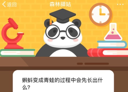 经验分享蝌蚪变成青蛙的过程中会先长出什么。