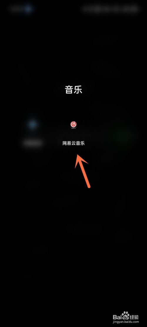 经验分享如何把网易云音乐下载到内存卡。
