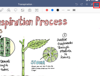经验分享Goodnotes如何添加大纲。