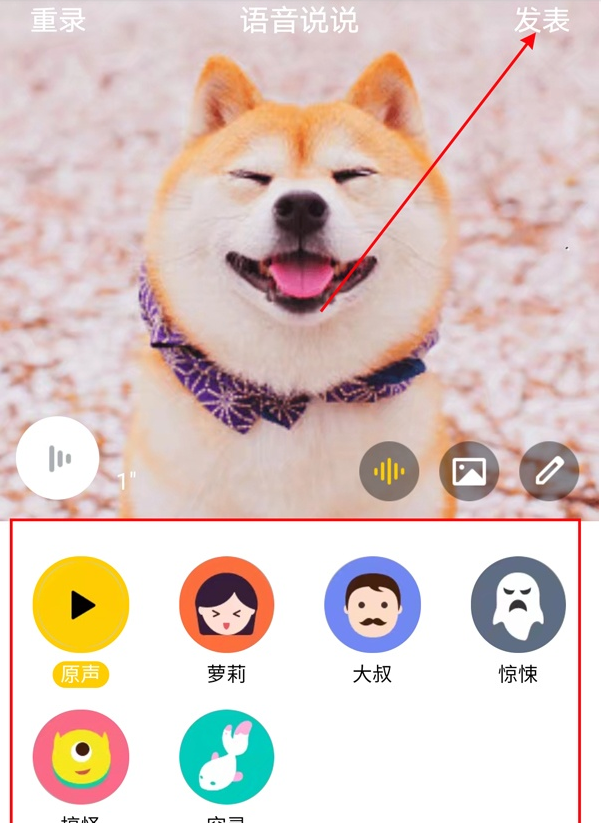 经验分享qq空间怎么发语音说说。