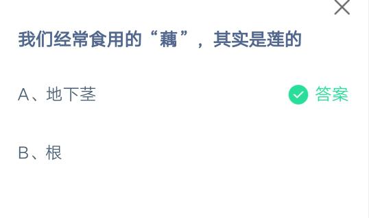经验分享我们经常食用的藕其实是莲的。