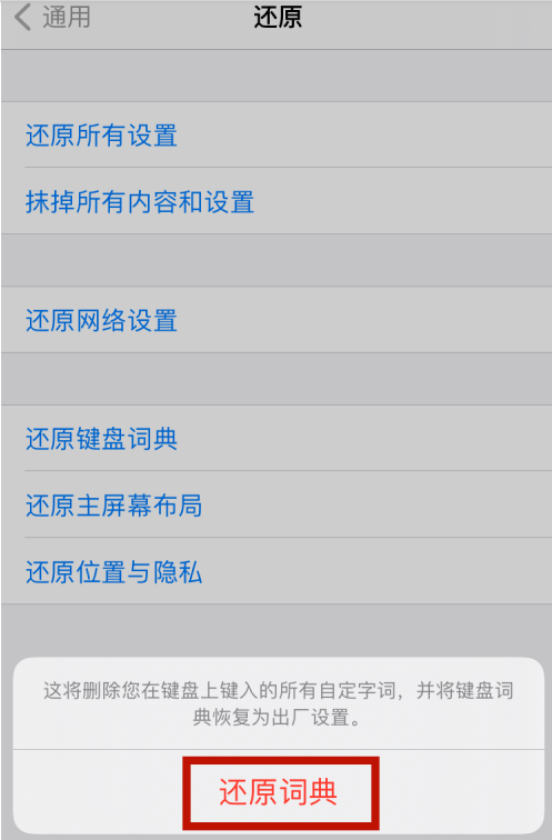 经验分享苹果12怎么删除输入法记忆 苹果12还原键盘词典方法。