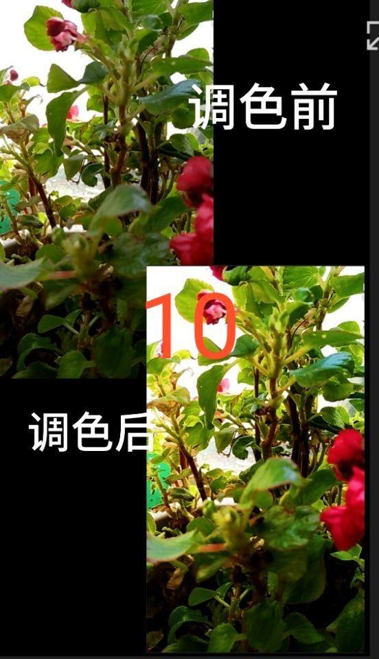 经验分享剪映APP如何调整视频亮度。