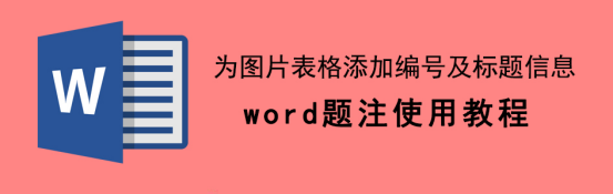 经验分享Word题注怎么使用。