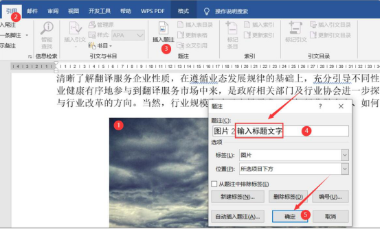 经验分享Word题注怎么使用。