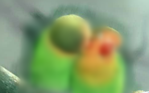 经验分享Painter绘制出水彩画效果图片的相关教程 经验分享今天的教会与信徒都缺乏什么