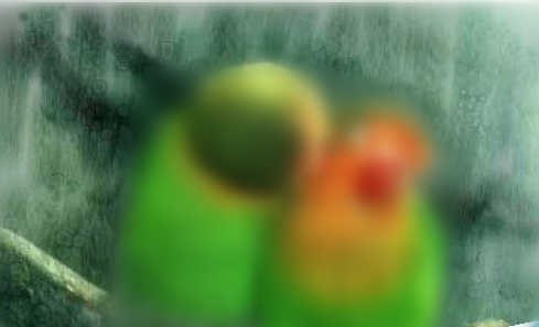 经验分享Painter绘制出水彩画效果图片的相关教程 经验分享今天的教会与信徒都缺乏什么