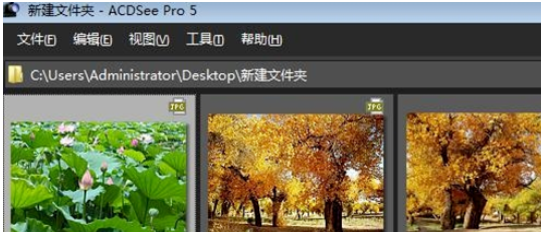 经验分享ACDSee浏览图片的具体方法介绍 经验分享的开头和结束语