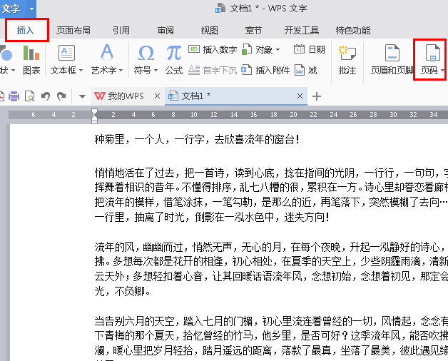 经验分享WPS Office 2016将指定页数设置为起始页的步骤
