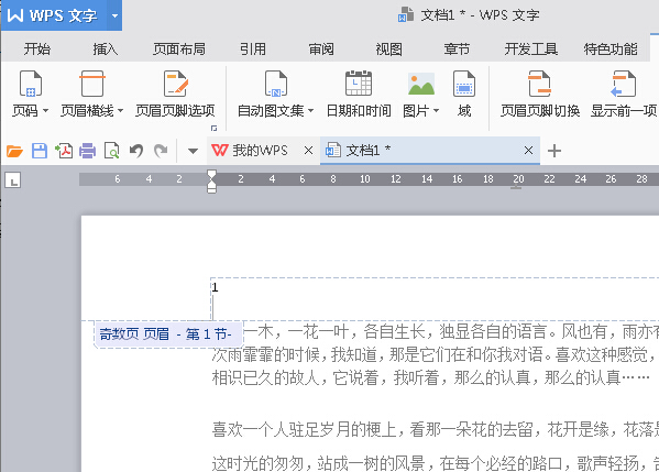 经验分享WPS Office 2016将指定页数设置为起始页的步骤