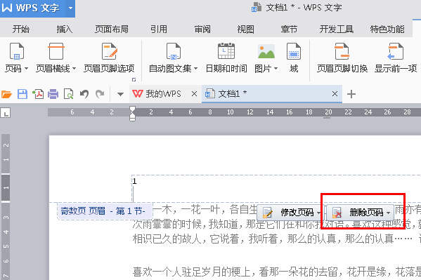 经验分享WPS Office 2016将指定页数设置为起始页的步骤