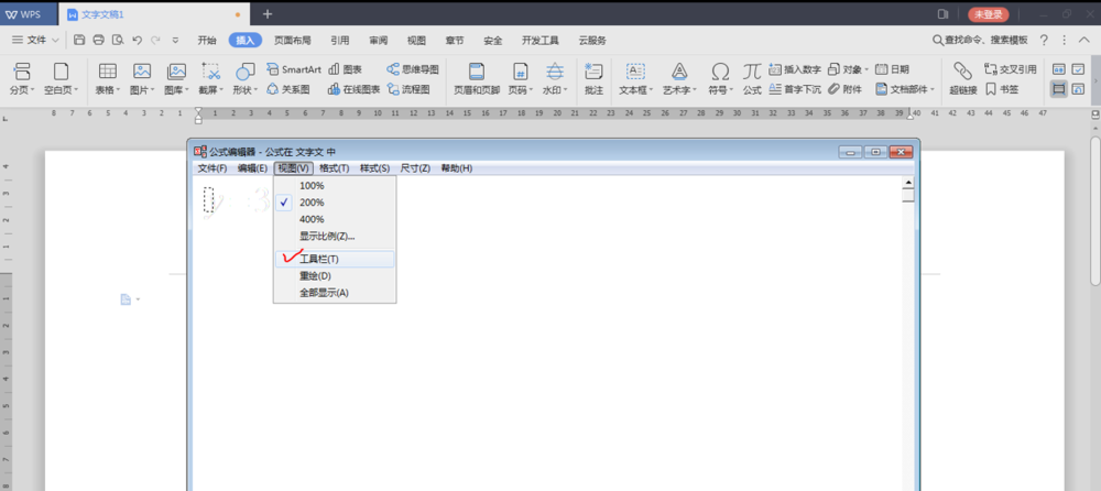 经验分享WPS2019中编辑公式的详细流程 职工代表