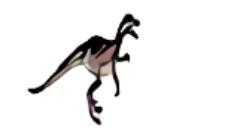 经验分享Raptor识别一个数是不是回文数的方法 职工代表