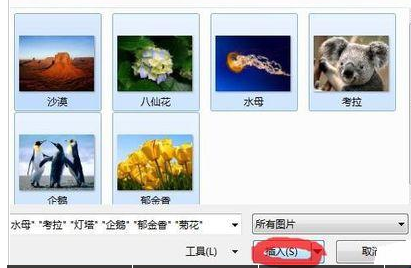 经验分享PowerPoint Viewer批量导入照片的详细操作步骤 经验分享今天的教会与信徒都缺乏什么