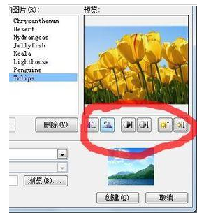 经验分享PowerPoint Viewer批量导入照片的详细操作步骤 经验分享今天的教会与信徒都缺乏什么