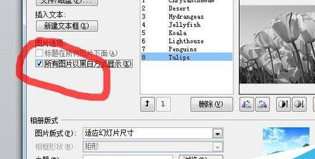 经验分享PowerPoint Viewer批量导入照片的详细操作步骤 经验分享今天的教会与信徒都缺乏什么