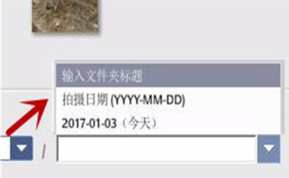 经验分享Google Picasa使用导入来源功能的操作内容 经验分享的和平精英