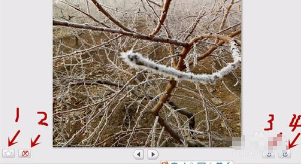 经验分享Google Picasa使用导入来源功能的操作内容 经验分享的和平精英