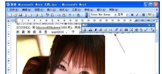 Microsoft Office 2003设置四周型环绕图片的详细操作教程截图