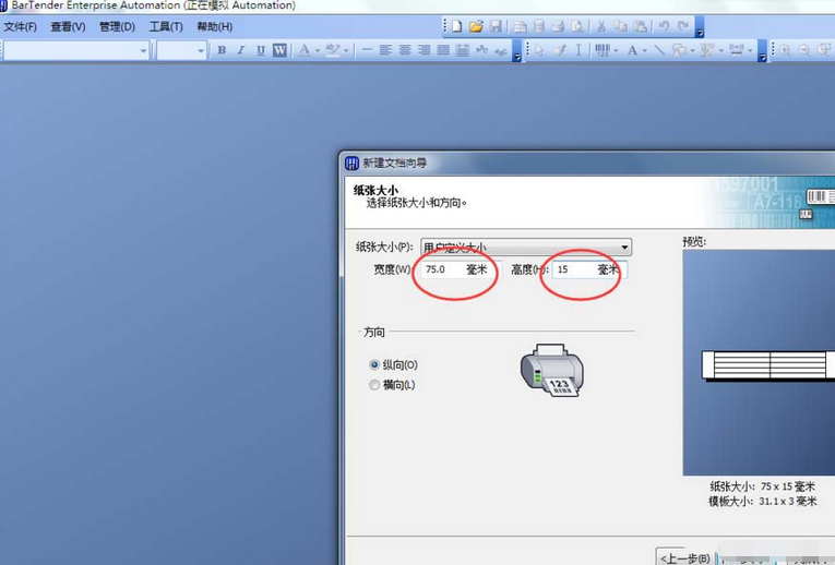 经验分享BarTender双排标签纸打印的操作教程 经验分享的和平精英