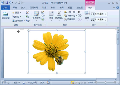 经验分享word2010删除图片背景的详细步骤 经验分享今天的教会与信徒都缺乏什么