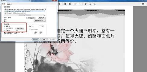 经验分享稻壳阅读器打印文档的方法介绍