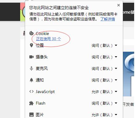 经验分享谷歌浏览器查看cookie值的详细步骤