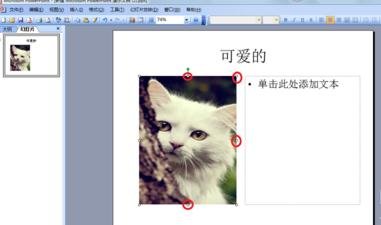 经验分享ppt2013设置文字环绕效果的简单操作 经验分享的开头和结束语
