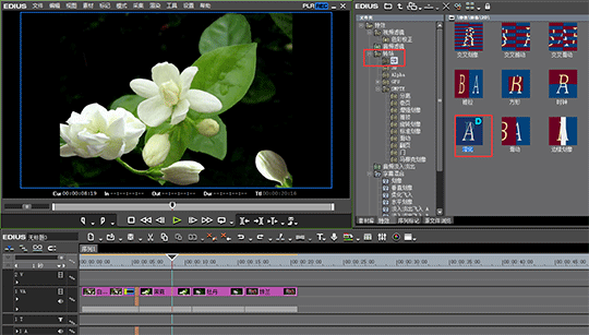 经验分享edius制作闪黑特效的操作步骤 经验分享今天的教会与信徒都缺乏什么