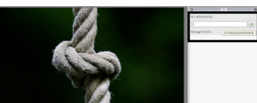 经验分享Google Picasa管理大量图片的具体步骤介绍 经验分享的和平精英