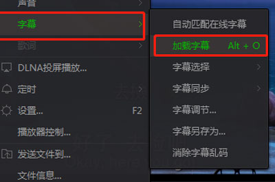 经验分享爱奇艺万能播放器中字幕的设置方法 爱奇艺会员可以我来说说给别人看吗