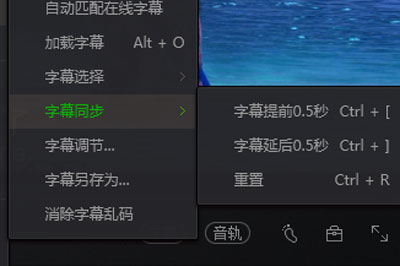 经验分享爱奇艺万能播放器中字幕的设置方法 爱奇艺会员可以我来说说给别人看吗