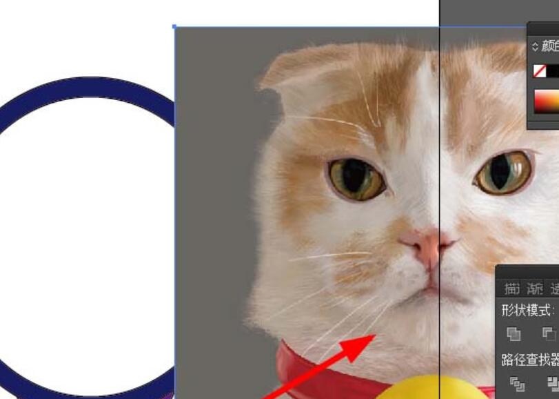 经验分享ai合成小猫照镜子效果图的操作方法