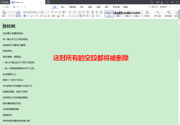 经验分享wps2019批量删掉空段的操作流程 经验分享的和平精英