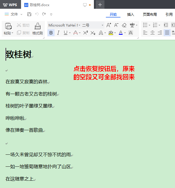 经验分享wps2019批量删掉空段的操作流程 经验分享的和平精英