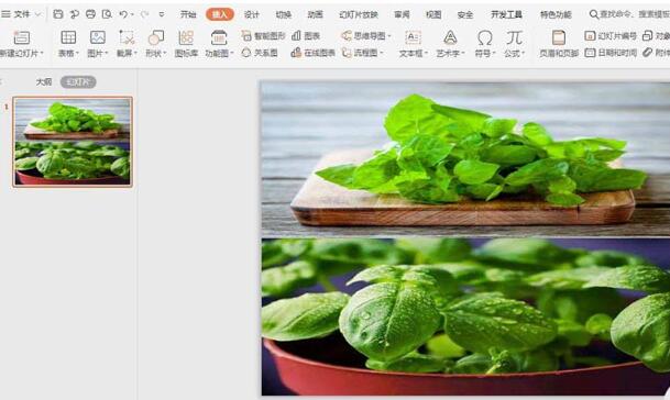 经验分享wps利用两张图片排版封面图的操作方法