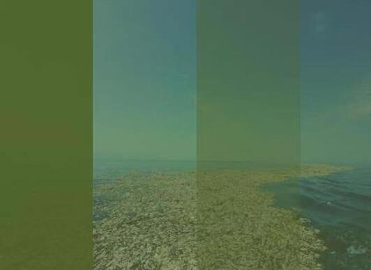 经验分享PPT做出垃圾分类宣传图的具体方法