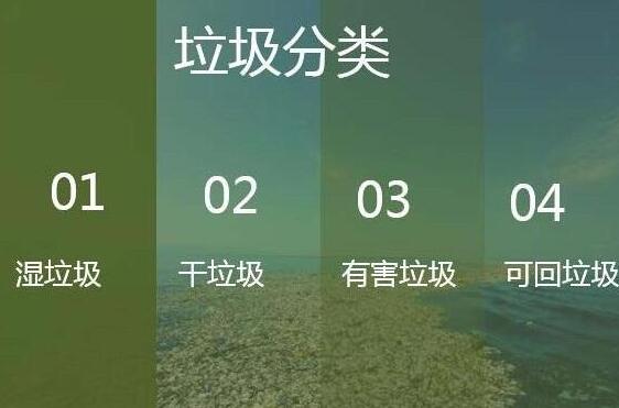 经验分享PPT做出垃圾分类宣传图的具体方法